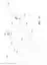 Fig. 29 - APPARATUS AND METHOD OF PLACEMENT OF A GRAFT OR GRAFT SYSTEM