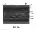Fig. 03 - Stent having adjacent elements connected by flexible webs