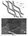 Fig. 08 - Method for mass transfer of micro-patterns onto medical devices