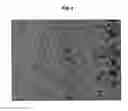 Fig. 05 - ANTIMICROBIAL COATINGS