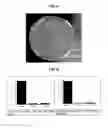 Fig. 09 - ANTIMICROBIAL COATINGS