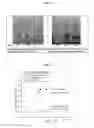 Fig. 11 - ANTIMICROBIAL COATINGS