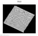 Fig. 09 - Skin substitute membrane, mold, and method of evaluating external preparation for skin