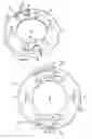Fig. 06 - VERTEBRAL IMPLANT END CAP