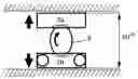 Fig. 01 - INTERBODY CAGE