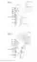 Fig. 02 - System and method for fracture replacement of comminuted bone fractures or portions thereof adjacent bone joints