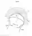 Fig. 09 - Hip joint device
