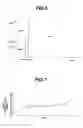 Fig. 05 - Hydraulic control apparatus for vehicle