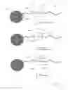 Fig. 06 - Predictive model for use in sequencing-by-synthesis