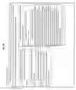 Fig. 24 - Compositions and methods for biological remodeling with frozen particle compositions