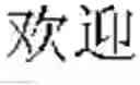 Fig. 07 - Synchro translation verification test for software applications