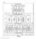 Fig. 05 - TRANSACTIONAL SERVICES