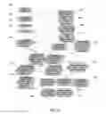 Fig. 06 - SYSTEMS AND METHODS FOR MANAGEMENT OF CREDIT GROUPS