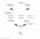 Fig. 01 - METHOD OF PROMOTION BASED ON PRODUCTS CONSUMPTION