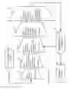 Fig. 02 - Flexible and adaptive accrual method and apparatus for calculating and facilitating compliance with taxes and other obligations