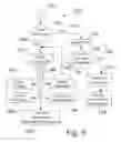 Fig. 10 - Customer controlled account, system, and process