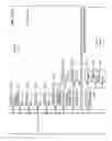 Fig. 46 - MANAGING CONSISTENT INTERFACES FOR BUSINESS OBJECTS ACROSS HETEROGENEOUS SYSTEMS