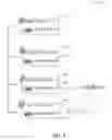 Fig. 04 - Preserving user intent in merging ordered objects