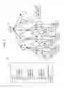 Fig. 05 - Generating rules for classifying structured documents