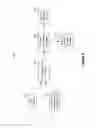 Fig. 05 - CONDITIONAL EXECUTION OF REGULAR EXPRESSIONS