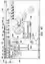 Fig. 41 - Methods, apparatus and systems for generating limited access files for searchable electronic records of underground facility locate and/or marking operations