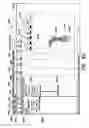 Fig. 44 - Methods, apparatus and systems for generating limited access files for searchable electronic records of underground facility locate and/or marking operations