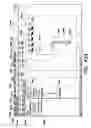 Fig. 45 - Methods, apparatus and systems for generating limited access files for searchable electronic records of underground facility locate and/or marking operations