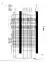 Fig. 03 - Storage device cache