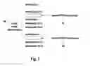 Fig. 04 - MICROPROCESSOR WITH PIPELINE BUBBLE DETECTION DEVICE