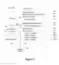 Fig. 04 - Realtime synchronized document editing by multiple users for blogging