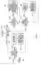 Fig. 06 - Varying removal of internal breakpoints during debugging of code