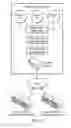 Fig. 04 - Community Sensor-Coordinating Entity