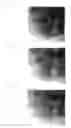 Fig. 02 - NON-HUMAN ANIMAL MODEL OF MYOCARDIAL INFARCTION AND METHOD FOR CREATING THE SAME