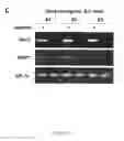Fig. 20 - Modular DNA-binding domains and methods of use