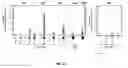 Fig. 45 - Modular DNA-binding domains and methods of use