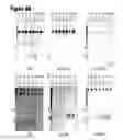 Fig. 06 - Cand45 tRNA-Derived Expression System for Gene Modulation