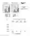 Fig. 09 - Cand45 tRNA-Derived Expression System for Gene Modulation