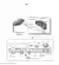 Fig. 02 - METHOD OF CONSTRUCTING NOVEL HIGHER PLANT AND METHOD OF PROMOTING THE GROWTH OF HIGHER PLANT