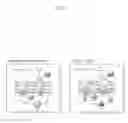 Fig. 04 - METHOD OF CONSTRUCTING NOVEL HIGHER PLANT AND METHOD OF PROMOTING THE GROWTH OF HIGHER PLANT