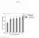 Fig. 15 - METHOD OF CONSTRUCTING NOVEL HIGHER PLANT AND METHOD OF PROMOTING THE GROWTH OF HIGHER PLANT