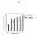 Fig. 17 - METHOD OF CONSTRUCTING NOVEL HIGHER PLANT AND METHOD OF PROMOTING THE GROWTH OF HIGHER PLANT