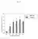 Fig. 18 - METHOD OF CONSTRUCTING NOVEL HIGHER PLANT AND METHOD OF PROMOTING THE GROWTH OF HIGHER PLANT