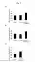 Fig. 02 - Method for promoting the formation of secondary cell wall of plant