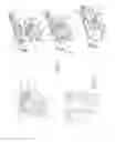 Fig. 05 - Windscreen wiper device