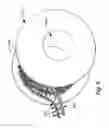 Fig. 08 - FESTOONED TRIM CLIP SYSTEM AND METHOD FOR ATTACHING FESTOONED CLIPS TO A SUBSTRATE