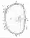 Fig. 06 - Reduced-pressure, compression systems and apparatuses for use on breast tissue
