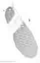 Fig. 02 - Outsole tread pattern