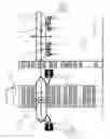 Fig. 16 - Universal aero space , naval eternal technology systems