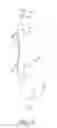 Fig. 08 - Methods and apparatus for guiding flexible glass ribbons