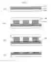 Fig. 02 - TREATING SOLUTION FOR FORMING FLUORIDE COATING FILM AND METHOD FOR FORMING FLUORIDE COATING FILM
